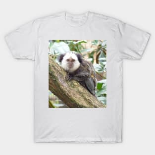 White Faced Marmoset T-Shirt